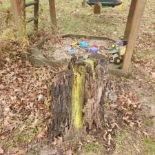 Hoagland Stump Gridning 5